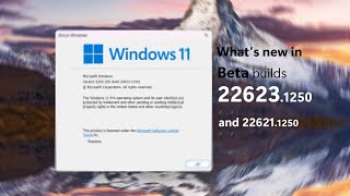 Windows 11 Beta Builds 226231250 226211250 And Whats New - Tiny Tiny Build