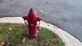 Waterous Trend Model WT77 Dry Barrel Fire Hydrant - 4 & 3/4 Inch Valve Opening