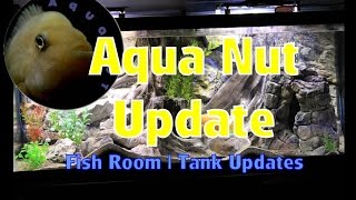 Things I Have Been Working On In The Fish Room.