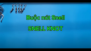 How to tie a fishing hook? - Cách buộc lưỡi câu_06