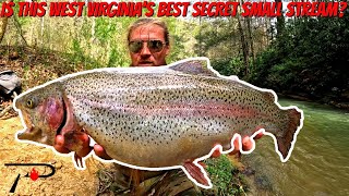 Is This West Virginia's Best Secret Trout Stream