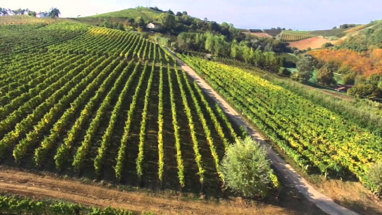 Aerial tour of our vineyard
