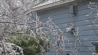 Collapsing trees cause power outages across ETX