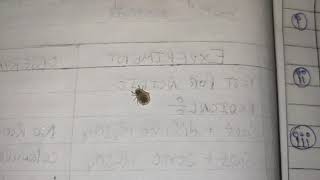 Pigeon Ticks screenshot 2