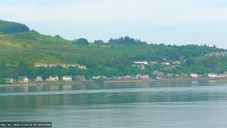 Holy Loch and wildlife  Dunoon Scotland