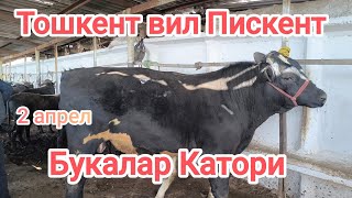 :        02.04.2025
