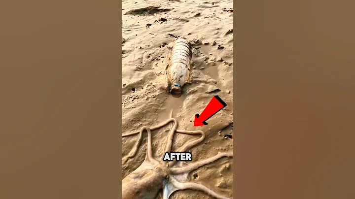 How does a octopus get into a bottle