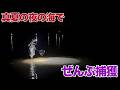 真夏の夜の海の生き物ぜんぶ捕まえて食べる！