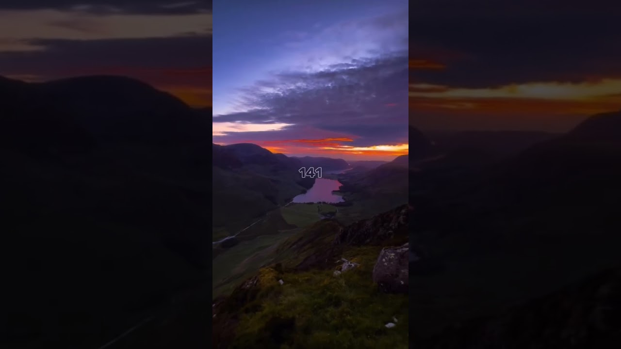 Let's protect our forests 