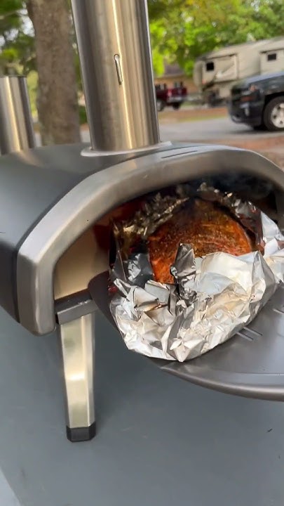 salmon-coming-out-of-ooni-pellet-pizza-oven-shorts-oonipizzaovens