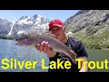 Trout fishing the eastern sierras silver lake