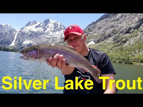 Trout Fishing the Eastern Sierra's Silver Lake