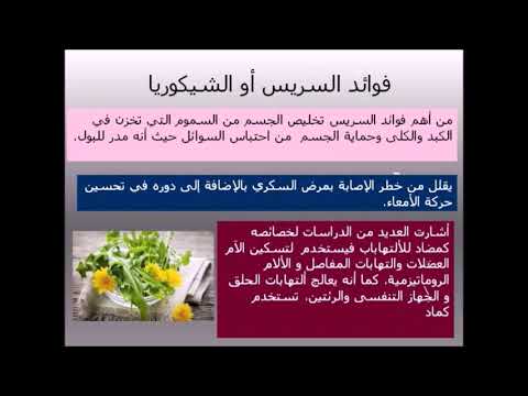 فوائد السريس أو الشيكوريا
