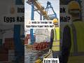 India Se Egg Export Ka Full Process 🥚🚢 | Export Business AI Video
