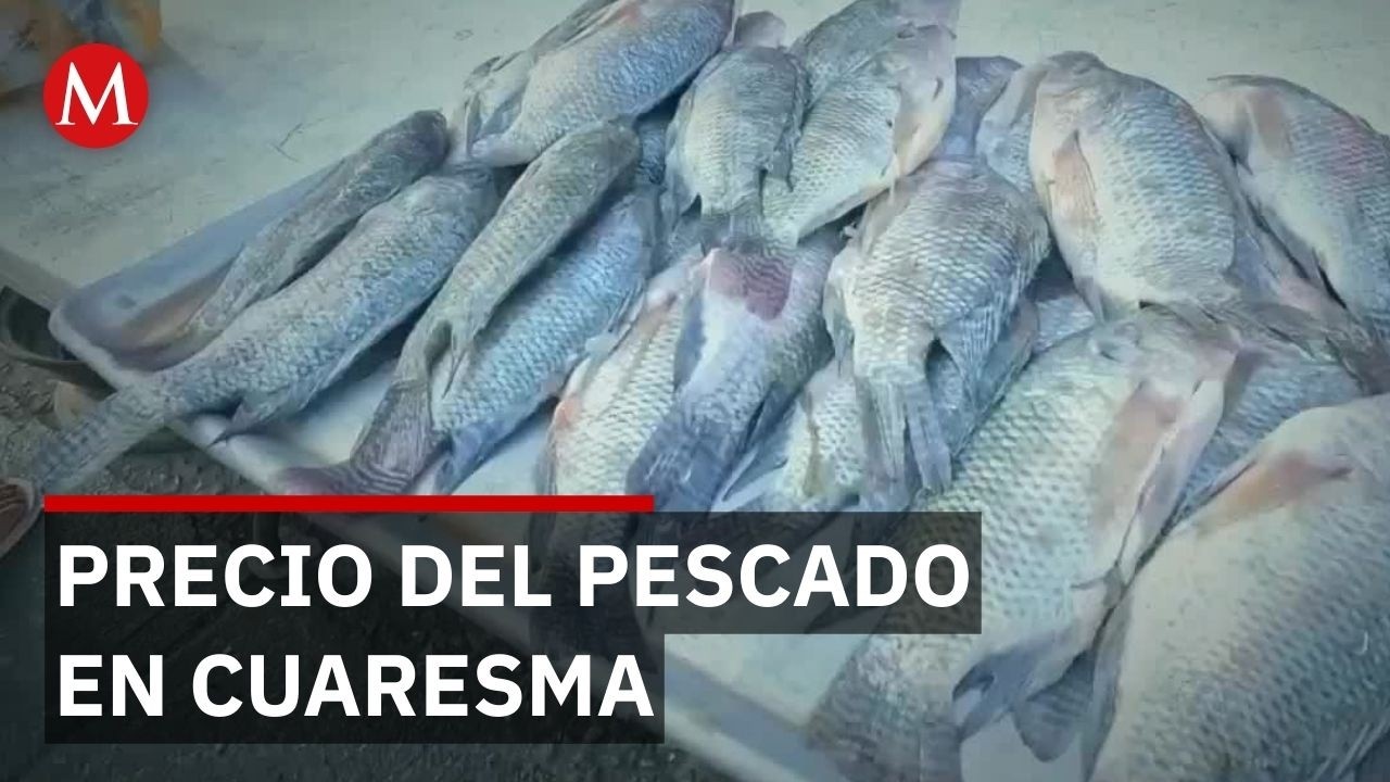 En Oaxaca, consumidores sufren por el aumento de precios en el pescado