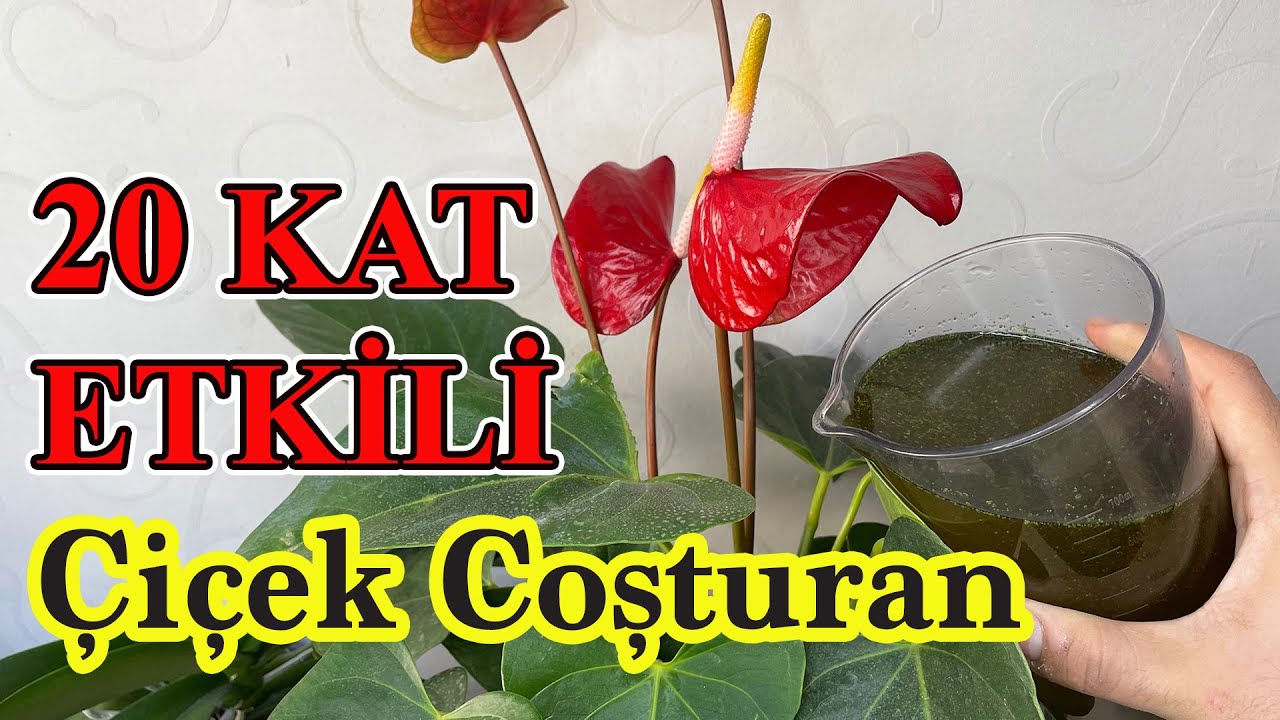 Натуральная формула смеси с 20-кратным усилением цветочного энтузиазма