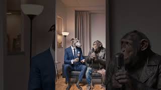 Tiny Apartment, Big Phone Panic — Hedgehog intern vs. giant smartphone #Shorts
