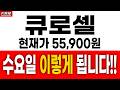 [큐로셀 주가전망] 현재가 55,900원 수요일 이렇게 됩니다!!