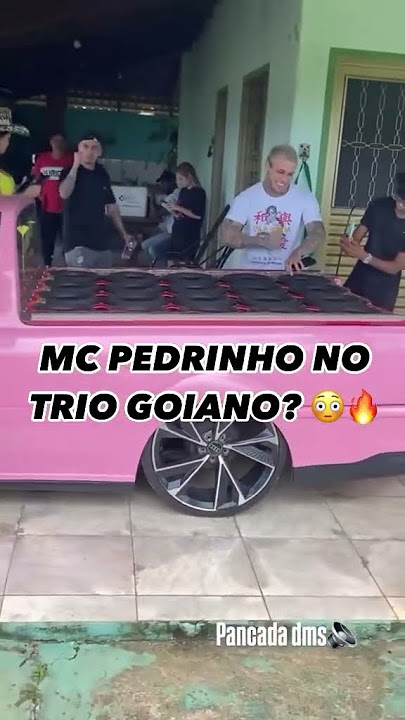 MC PEDRINHO NO TRIO GOIANO #eletrofunk #deboxe #desande #djskype #desandelifs #brasilia #visteon