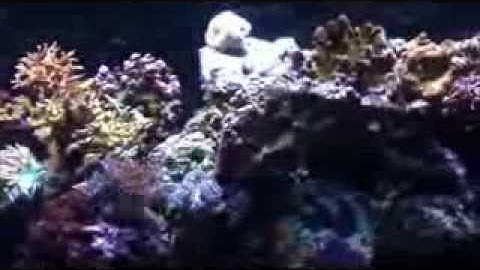 Tip of the day-Silence that noisy overflow