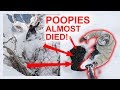 POOPIES ALMOST DIES IN JAPAN!!!