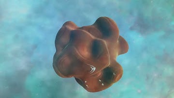 01 Calabi Yau Manifold curtailed