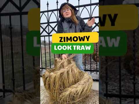 Najładniejszy sposób na zabezpieczenie traw! Zobacz, jak to zrobić! #trawyozdobne #zima #warkocze