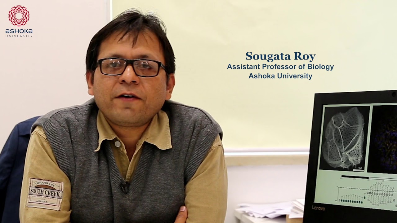FacultyAshoka Prof. Sougata Roy YouTube