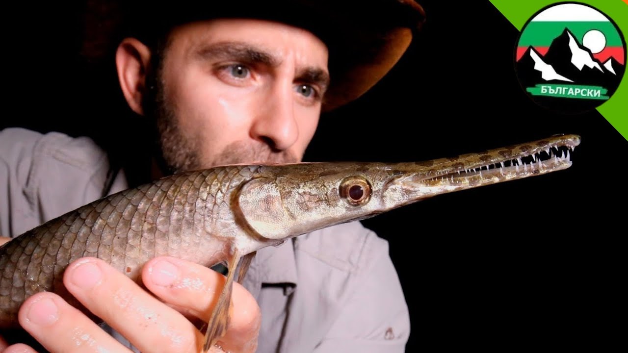 Странни същества от Тексас 🦎🐍 | Brave Wilderness Български