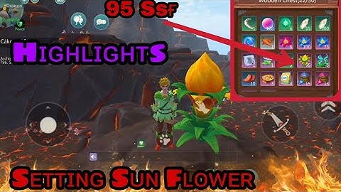 Setting Sun Flowers(SSF):Highlights:Utopia Origin