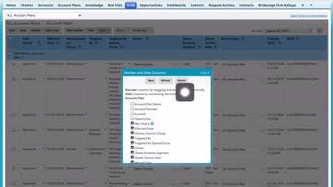 AM Acct Plan Grid - Hide/Unhide/Reorder Columns and Views (5min 01sec))