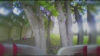 Blade Inductrix FPV Plus Tree Gapping