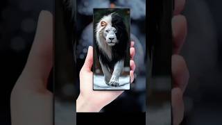 4k Wallpaper for mobiles