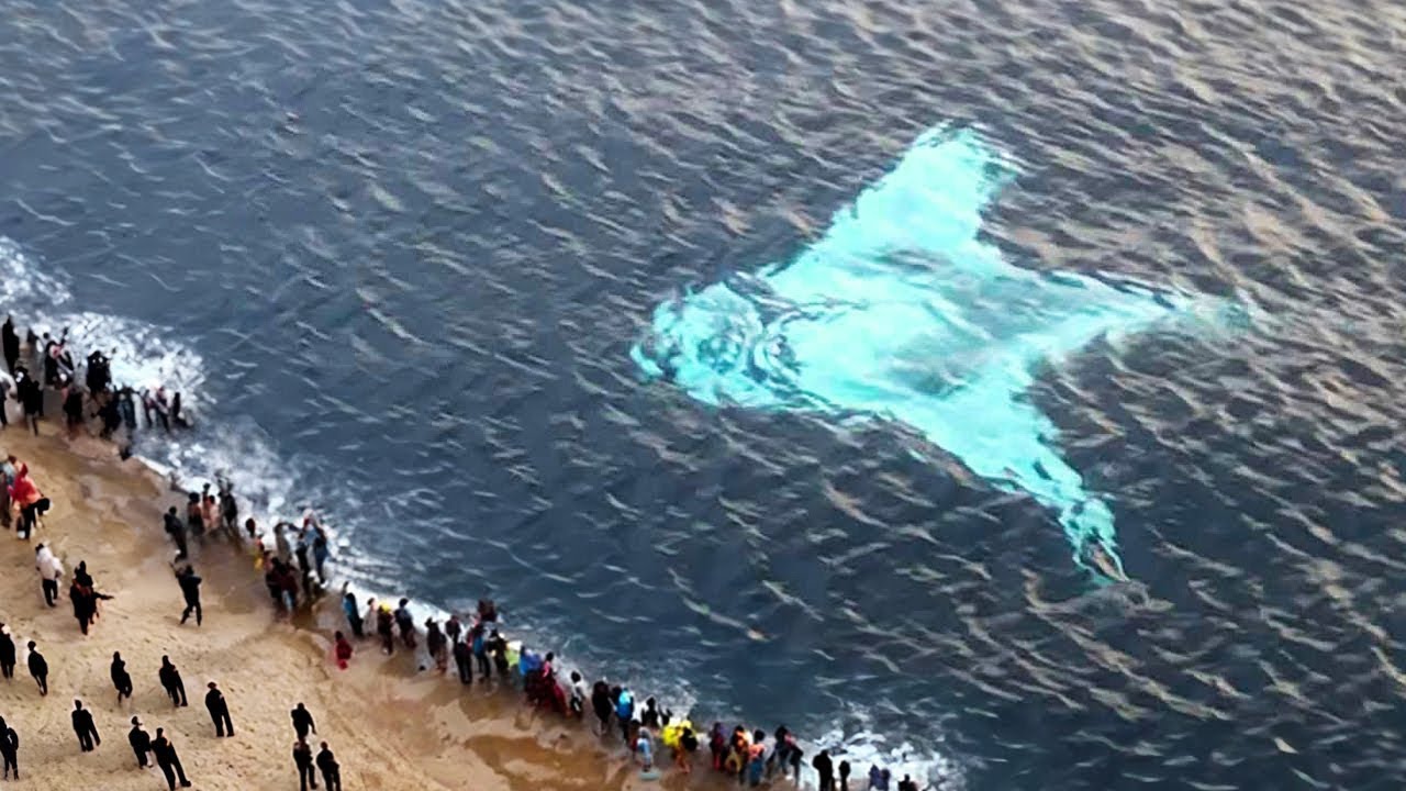 Это Действительно Было Снято на Камеру