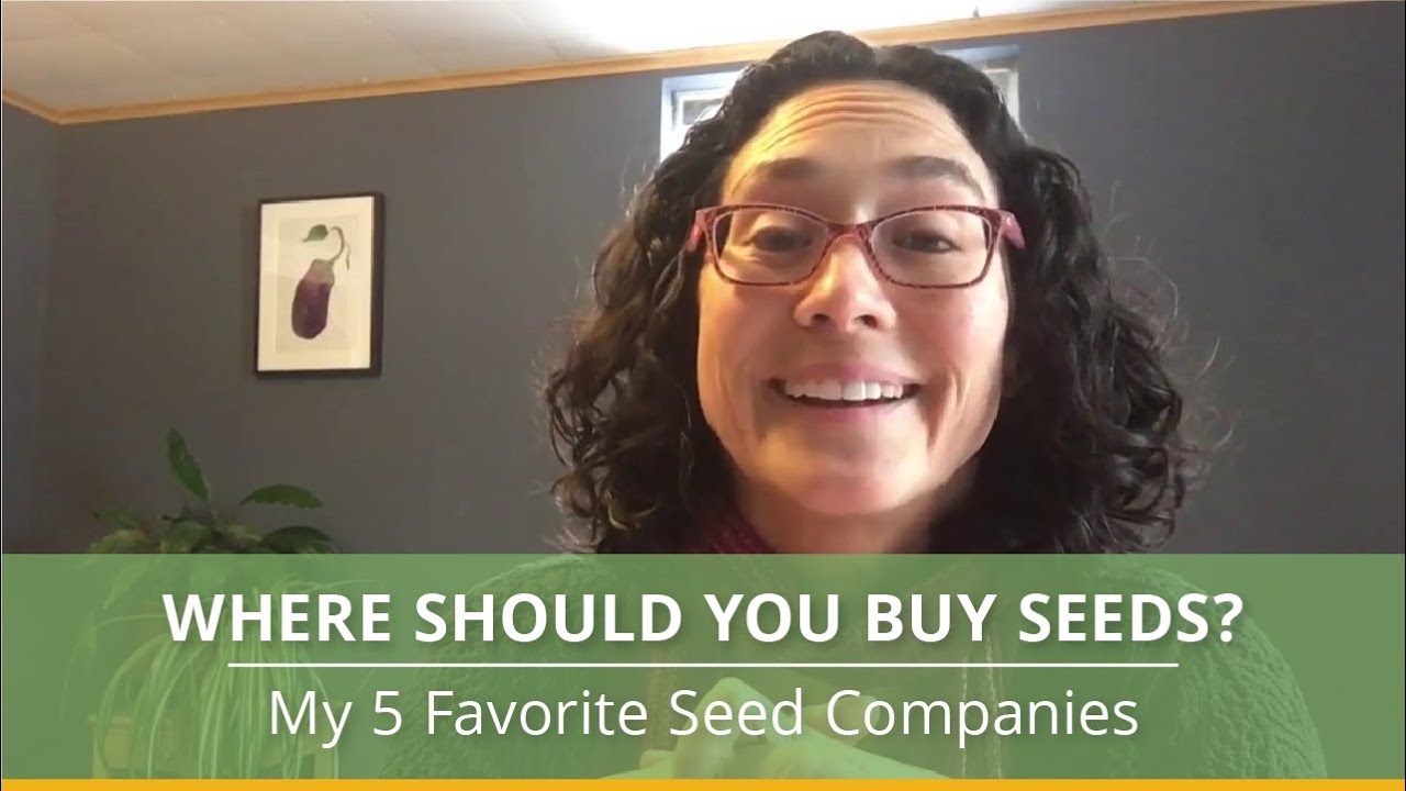 Where to Buy Seeds for Your Garden Top 5 Seed Companies YouTube