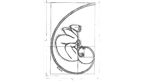 Music From The Fibonacci Sequence / Spiral (phi Φ the Golden ratio) 1.61803398875 fibonacci baby