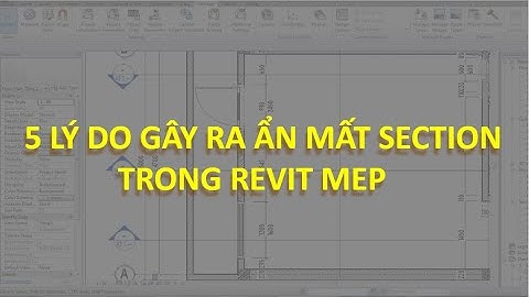 DSCONS | 5 lý do phổ biến gây ra Ẩn Mặt Cắt trong Revit(Section)