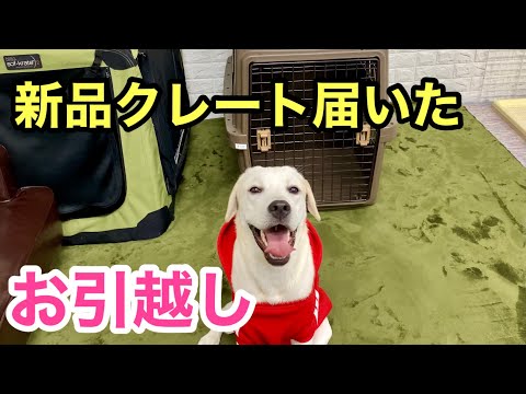 新品クレートにお引越し★IRIS エアトラベルキャリー Lサイズ ラブラドールレトリバー Air Travel Carry New Crate Labrador Retriever