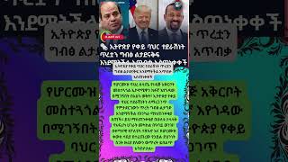 #tiktokeffects #duet #twinmoments #habesha