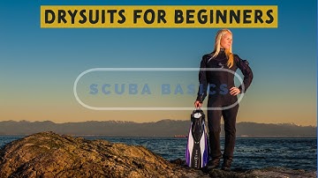 Scuba Basics: Everything You Need To Know About Drysuit Diving