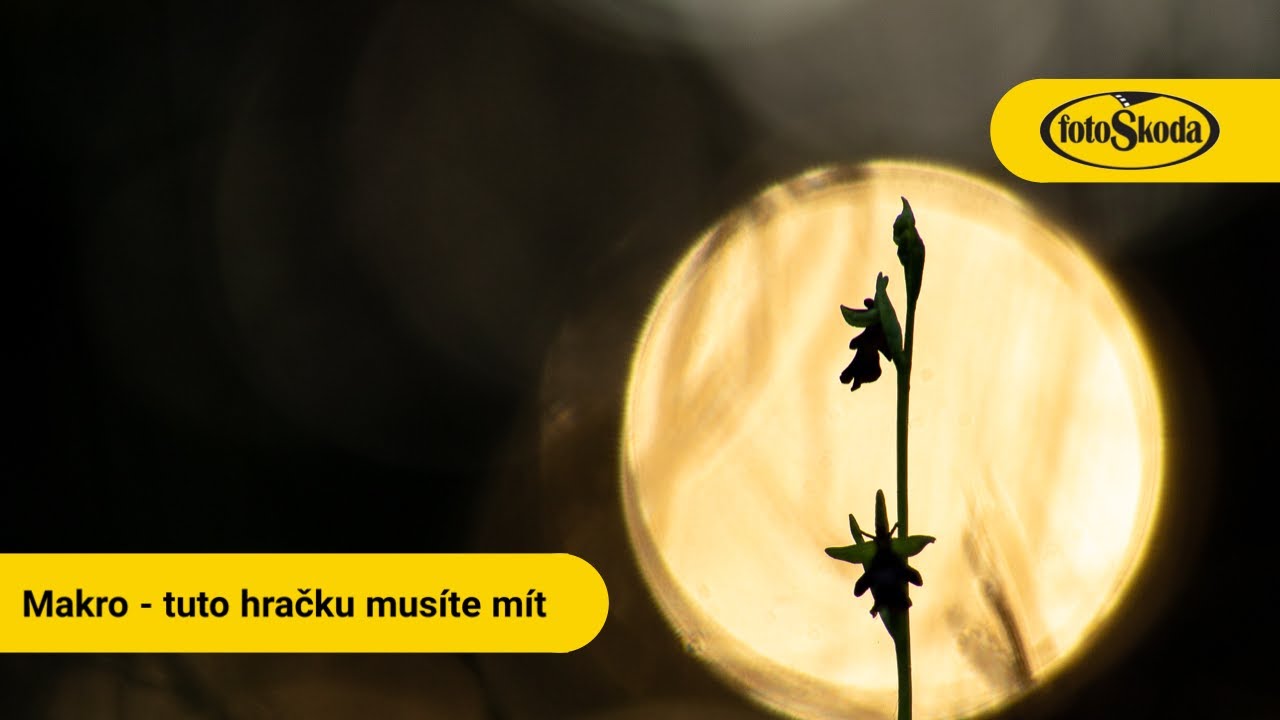 Příslušenství, které vám při focení makra a detailu nesmí chybět