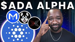 Major Cardano UPGRADE Incoming – $ADA News & Quantum HOSKY Alpha!