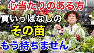 【これだけで】買った苗をもう1ヶ月持たせる良い方法教えます               【カーメン君】【園芸】【ガーデニング】【初心者】