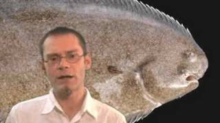 No Floundering Over Flatfish Evolution