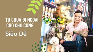 CHĂM SÓC CHÓ POODLE || CHỮA ĐI NGOÀI RA MÁU TƯƠI CHO CHÓ TẠI NHÀ : Chi phí chưa tới 10k