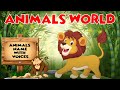 WILD ANIMALS || Learn Wild Animals Sounds and Names For Children