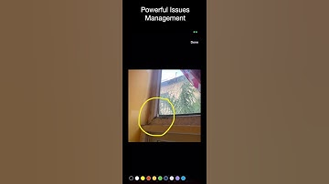 Audit Anything App Preview