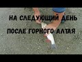На следующий день, после...