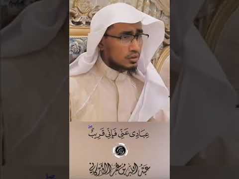 و إ ذ ا س أ ل ك ع ب اد ي ع ن ي ف إ ن ي ق ر يب