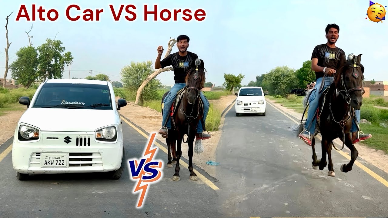 HORSE RACING🏇TEST WITH ALTO CAR🚗😱